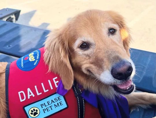 Helping students one paw at a time