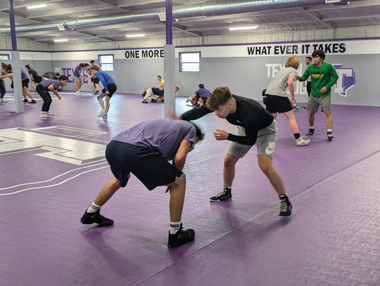 Purple and White wrestle their way to Division I status