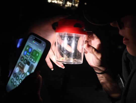 Tarleton Entomological Society returns Tarleton Entomological Society returns