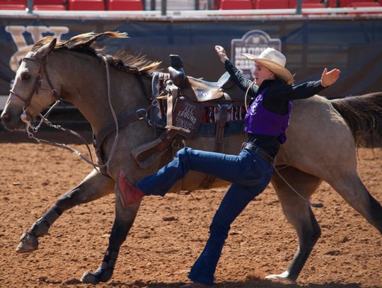 Tarleton Rodeo dominates early season standings