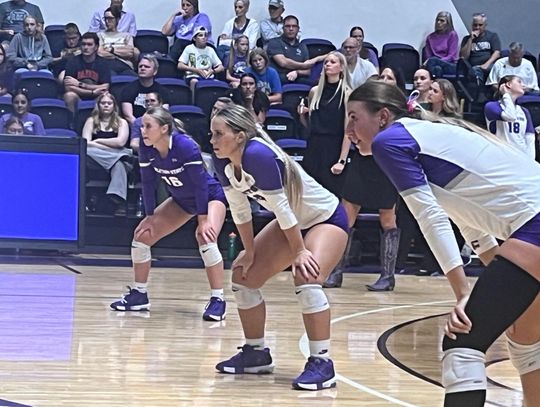 Tarleton Volleyball sets attendance record during Homecoming week