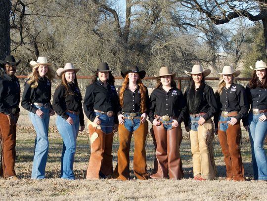 The Tarleton Stock Horse Team: Where perseverance is proven