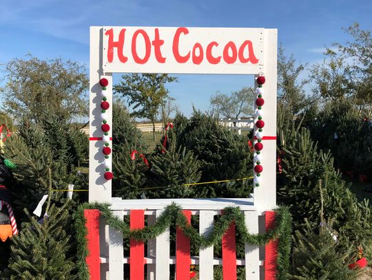 Where Christmas takes root in Erath County