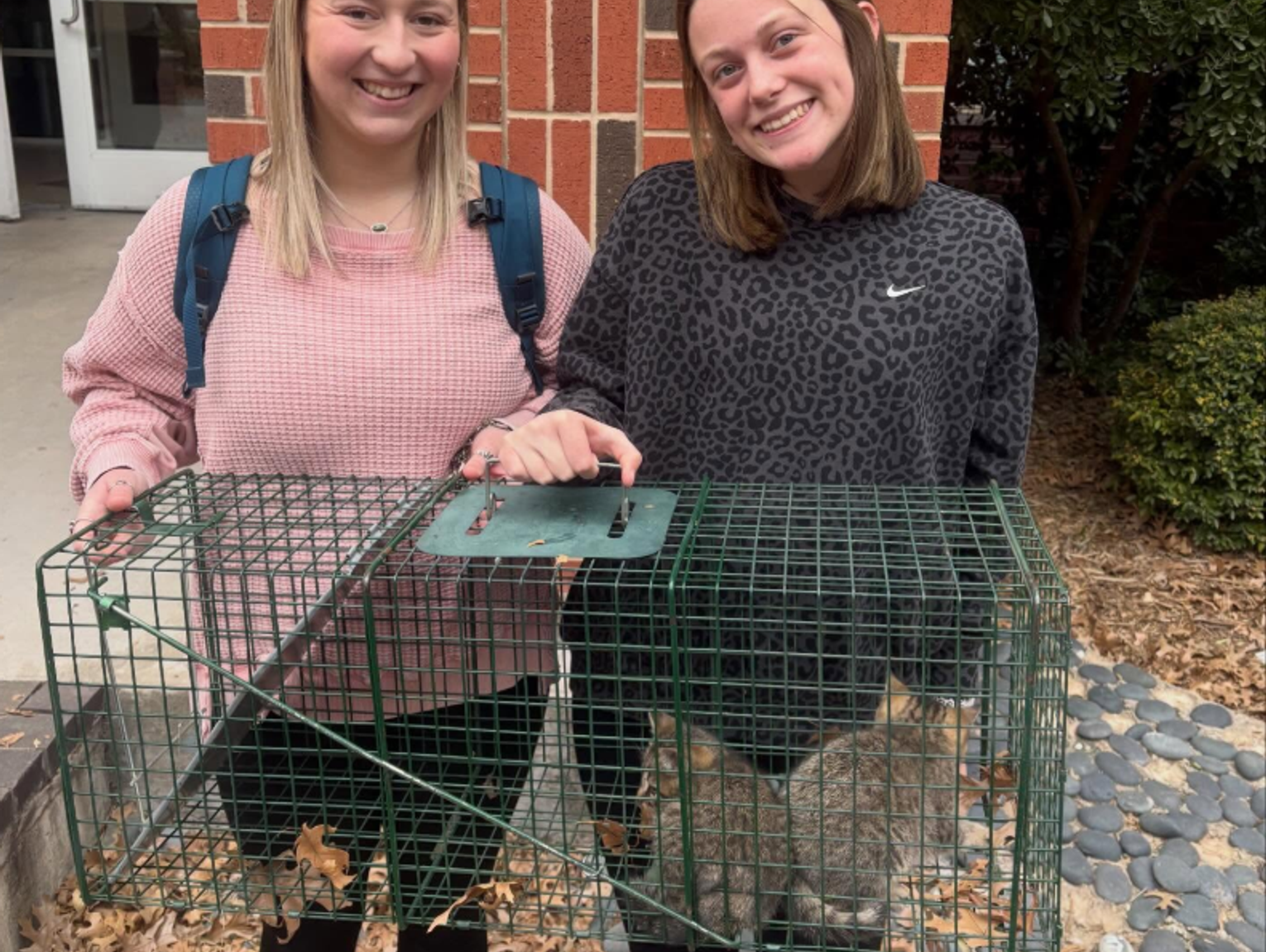 More than ‘something sticky’: Purrs and Spurs saves campus cats