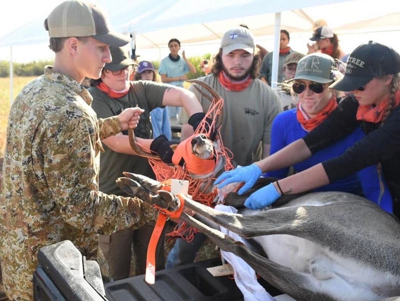 Tarleton Wildlife Society has a bright future