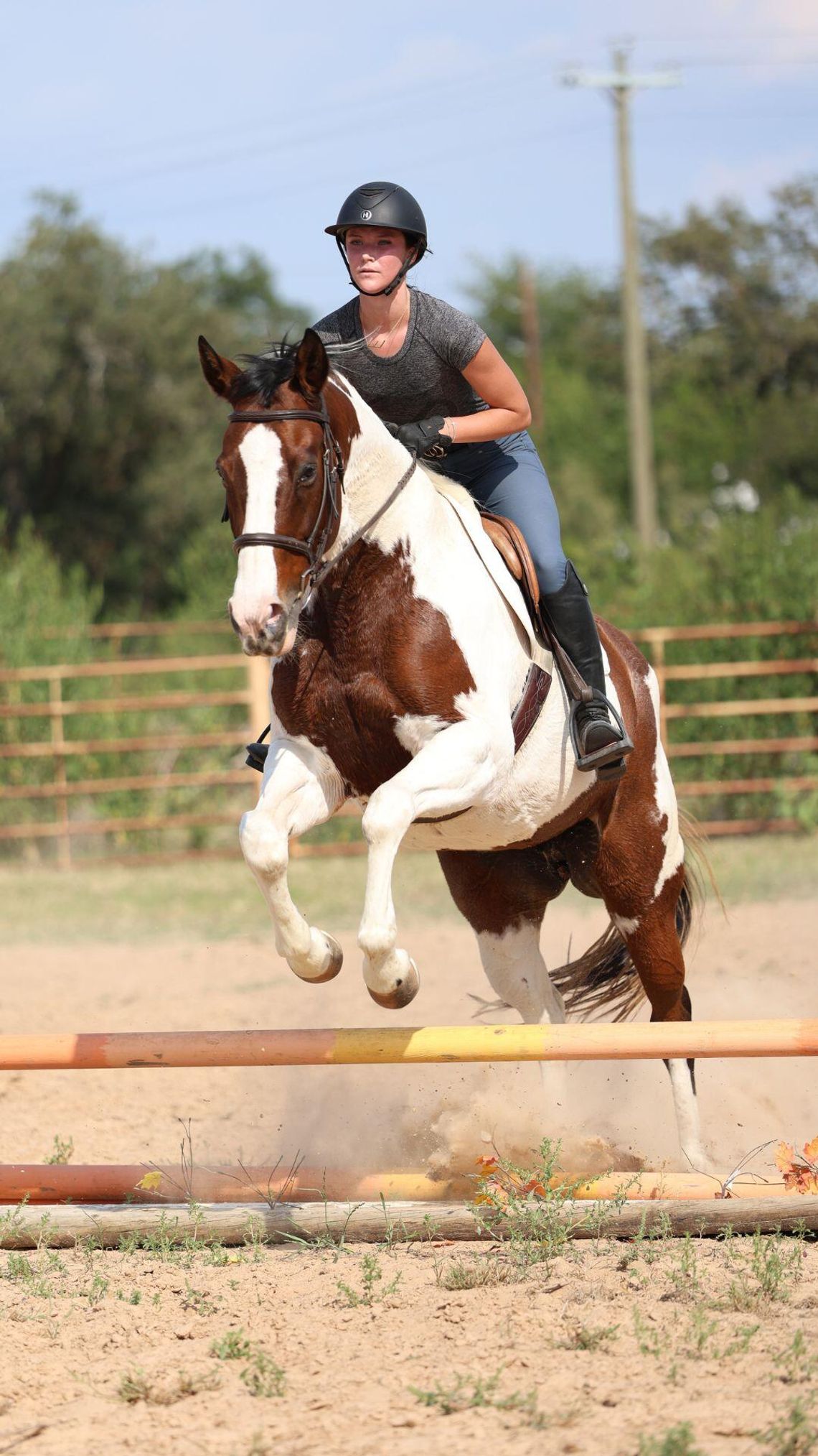 An inside look at the IHSA Tarleton Equestrian Team