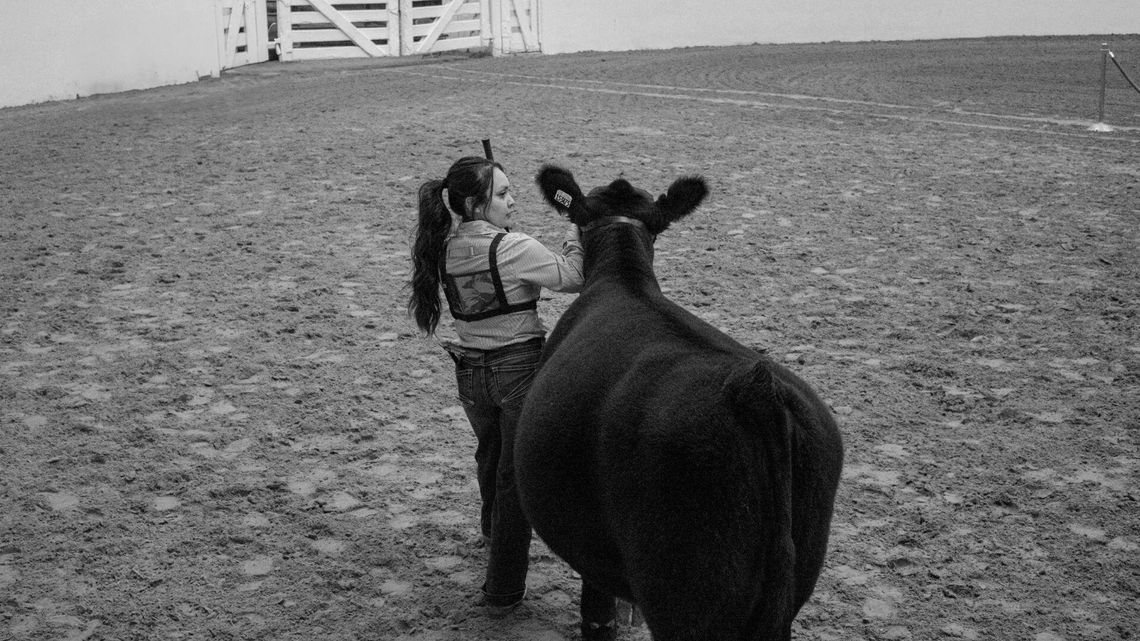 From Livestock to Lifelong Lessons: The Impact of Texas Stock Show Season