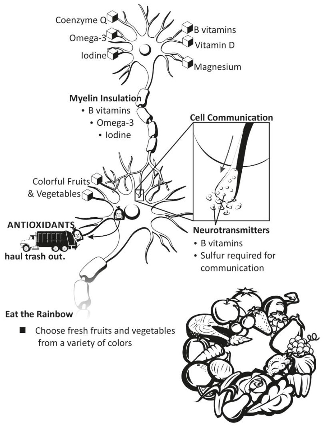 Happy mitochondria, happy brain