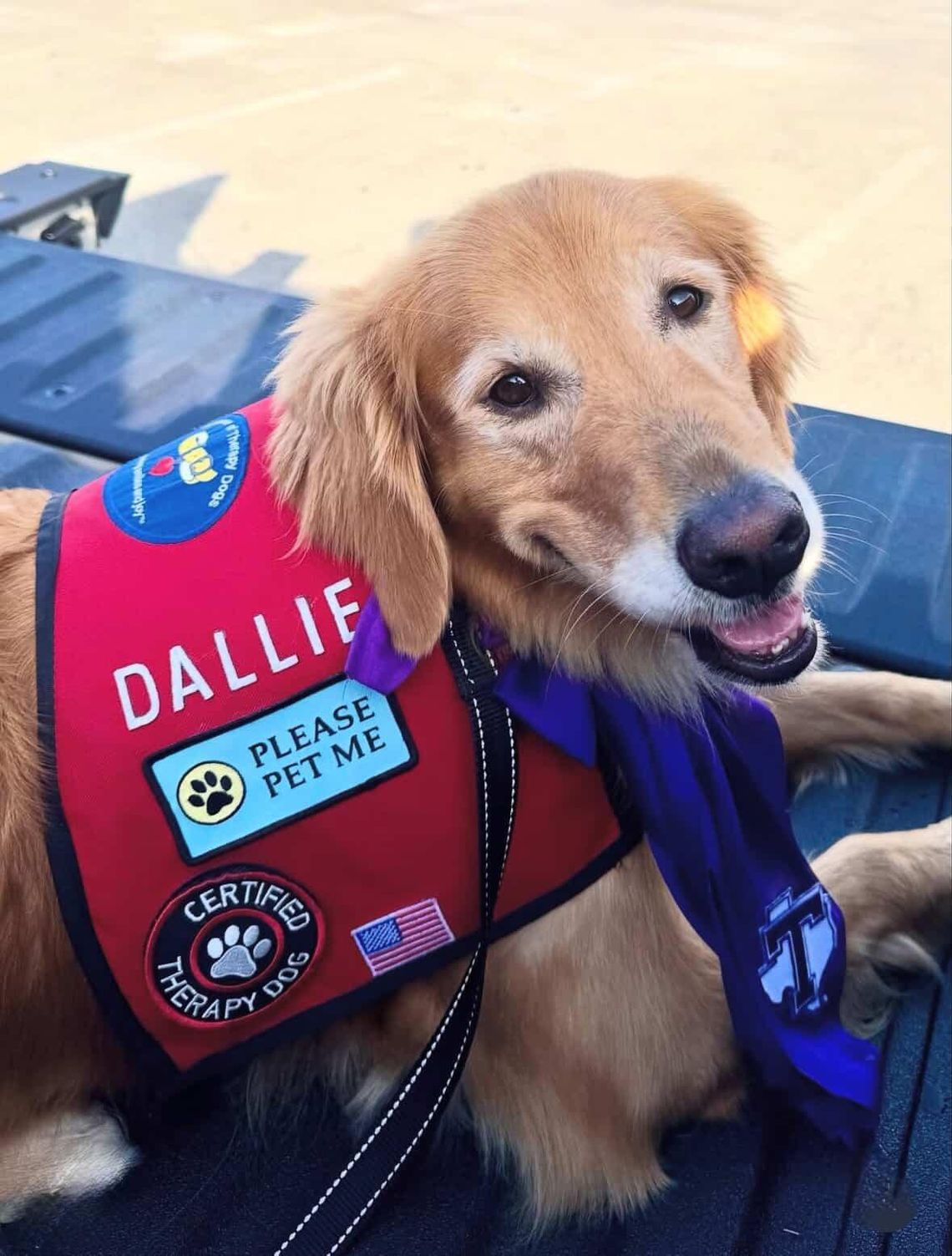 Helping students one paw at a time