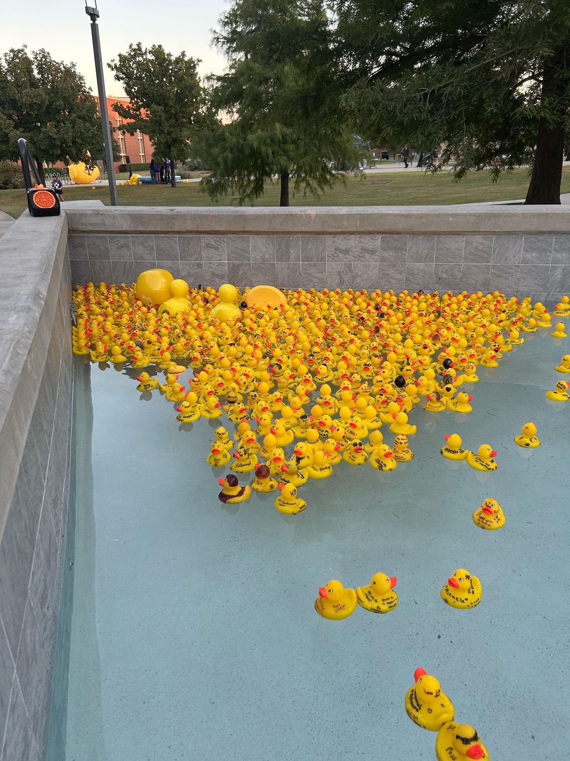 Launching into homecoming week Launching into homecoming week