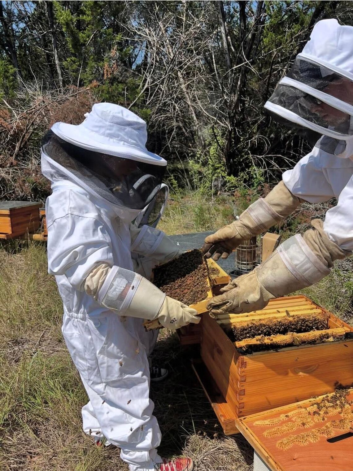 Student CEO Cade Mathis serves communities as he expands Tarleton’s Ag. farm through beekeeping