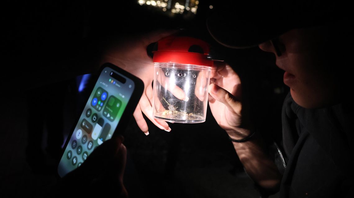 Tarleton Entomological Society returns