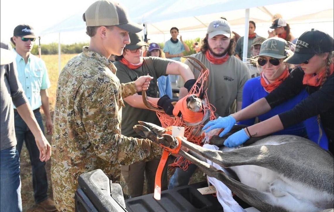 Tarleton Wildlife Society has a bright future