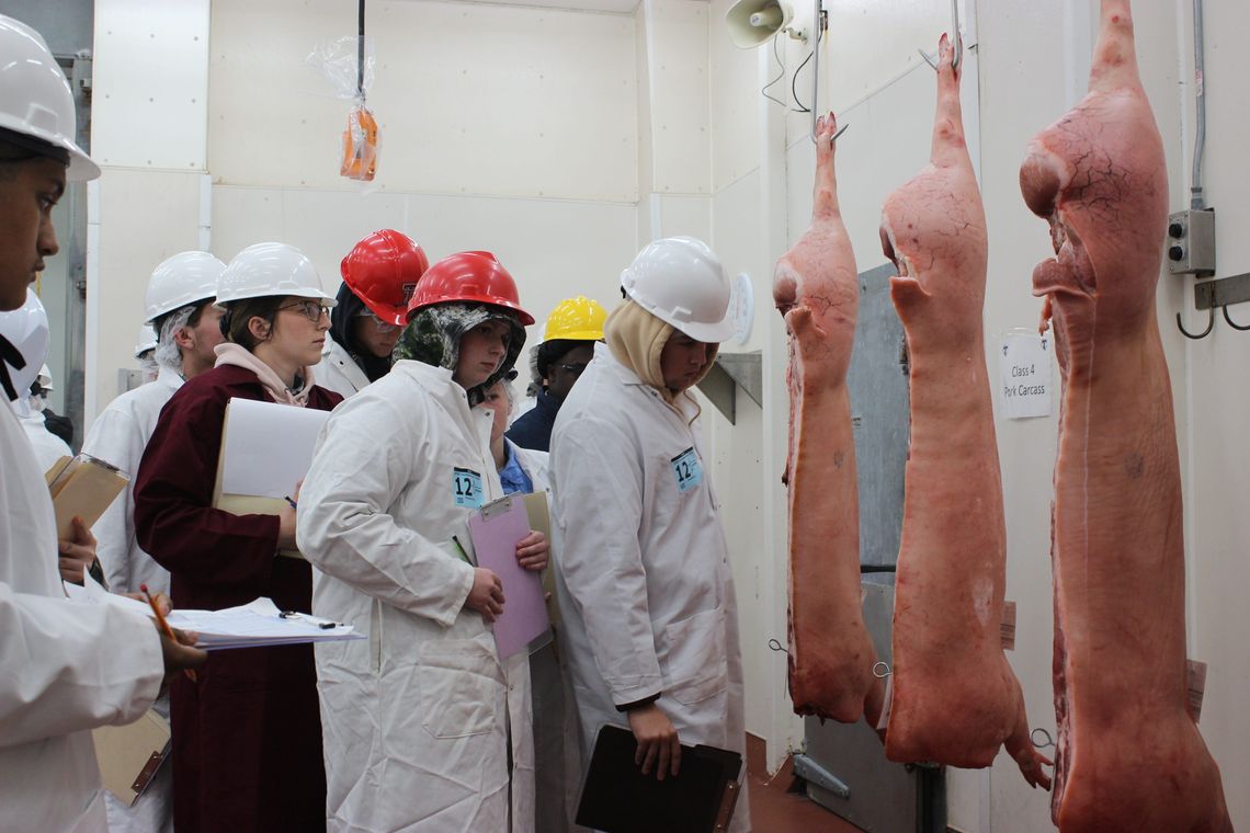 The College of Agriculture and Natural Resources is changing young lives, one CDE at a time