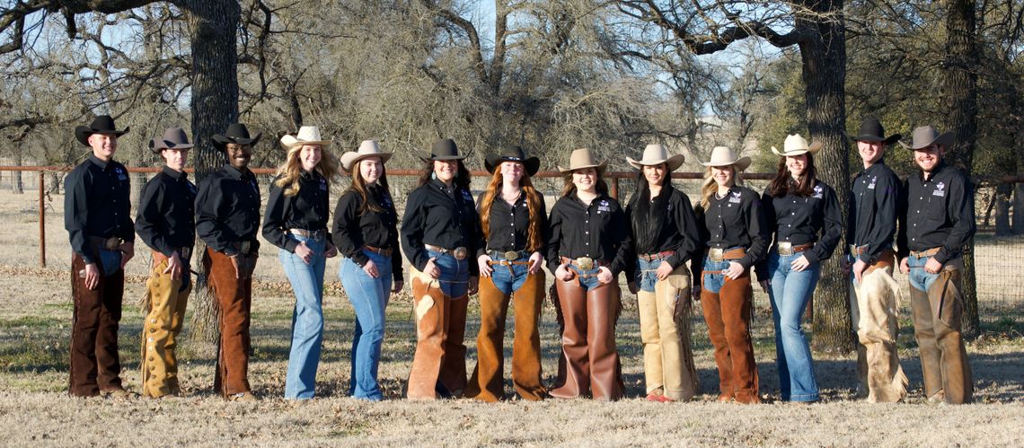 The Tarleton Stock Horse Team: Where perseverance is proven