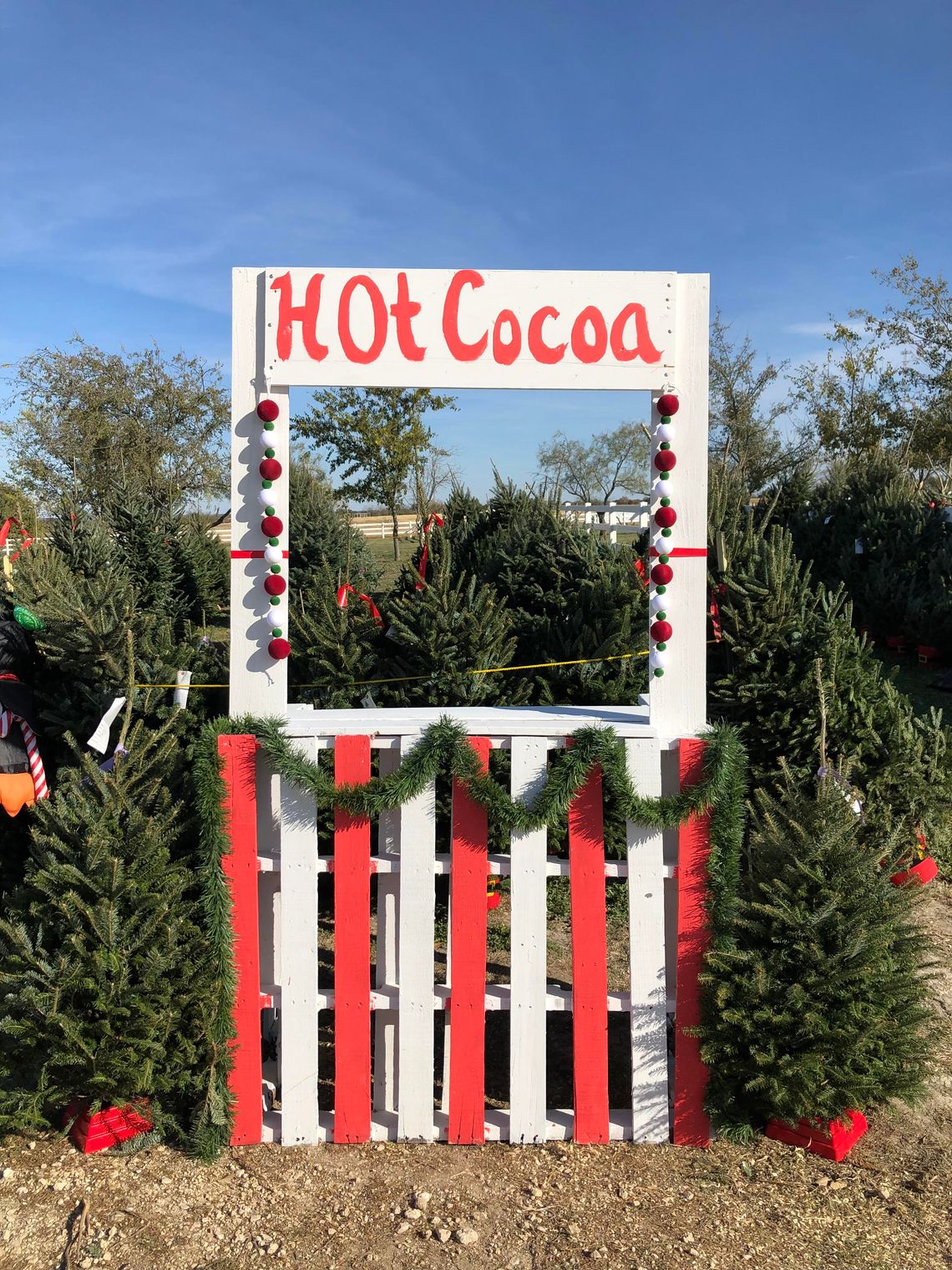 Where Christmas takes root in Erath County